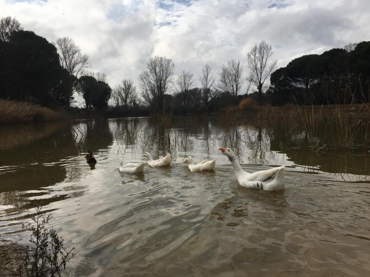 Mas Teixidor, Masia Entre Girona Y La Costa Brava 卡尔德斯德马拉维亚 外观 照片