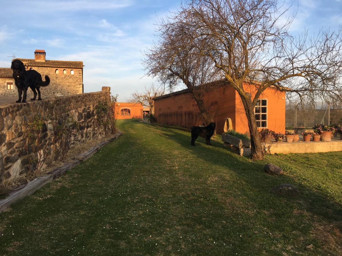 Mas Teixidor, Masia Entre Girona Y La Costa Brava 卡尔德斯德马拉维亚 外观 照片