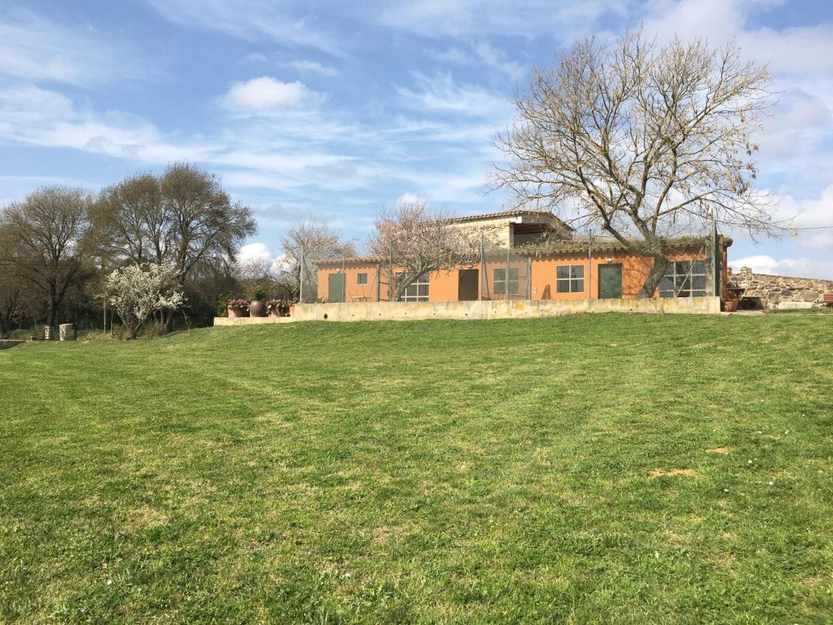 Mas Teixidor, Masia Entre Girona Y La Costa Brava 卡尔德斯德马拉维亚 外观 照片