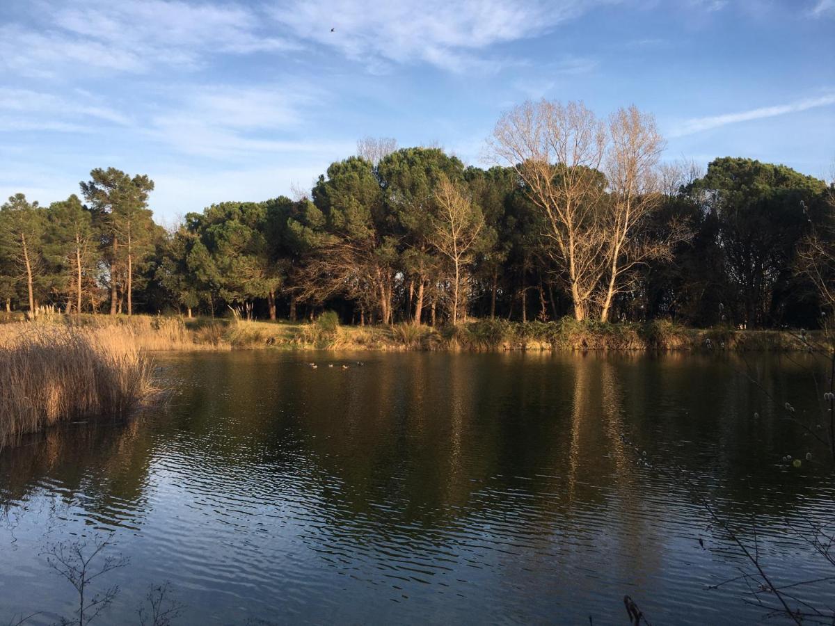 Mas Teixidor, Masia Entre Girona Y La Costa Brava 卡尔德斯德马拉维亚 外观 照片